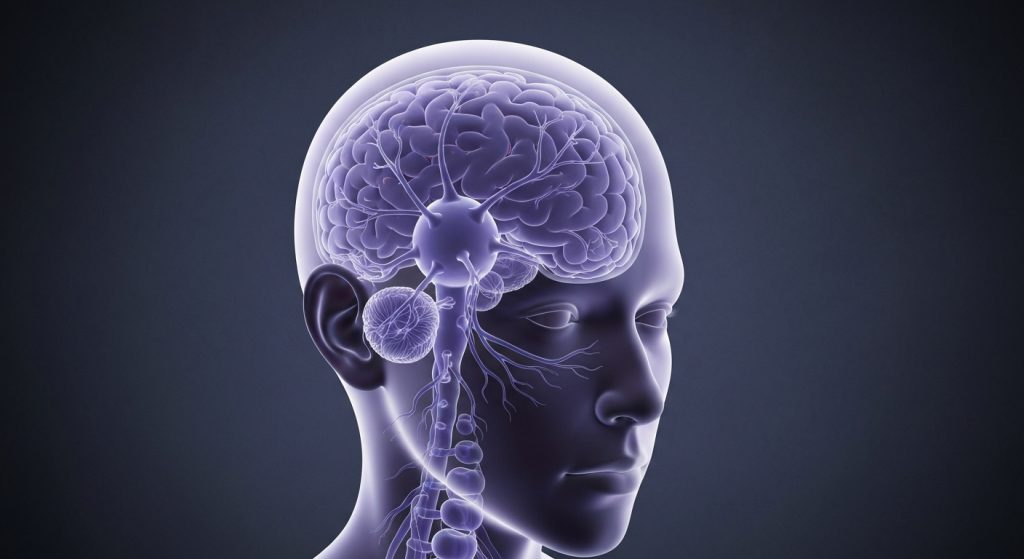 Nutrient Deficiency Linked to Early Brain Stress in Young Adults - AI Generated Visualization