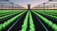 Rainstick Uses Bioelectricity for "Lightning-as-a-Service" in Agriculture - AI Generated Visualization